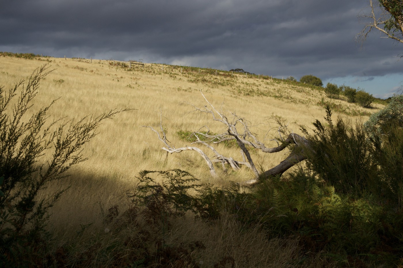 Newborough, Gippsland