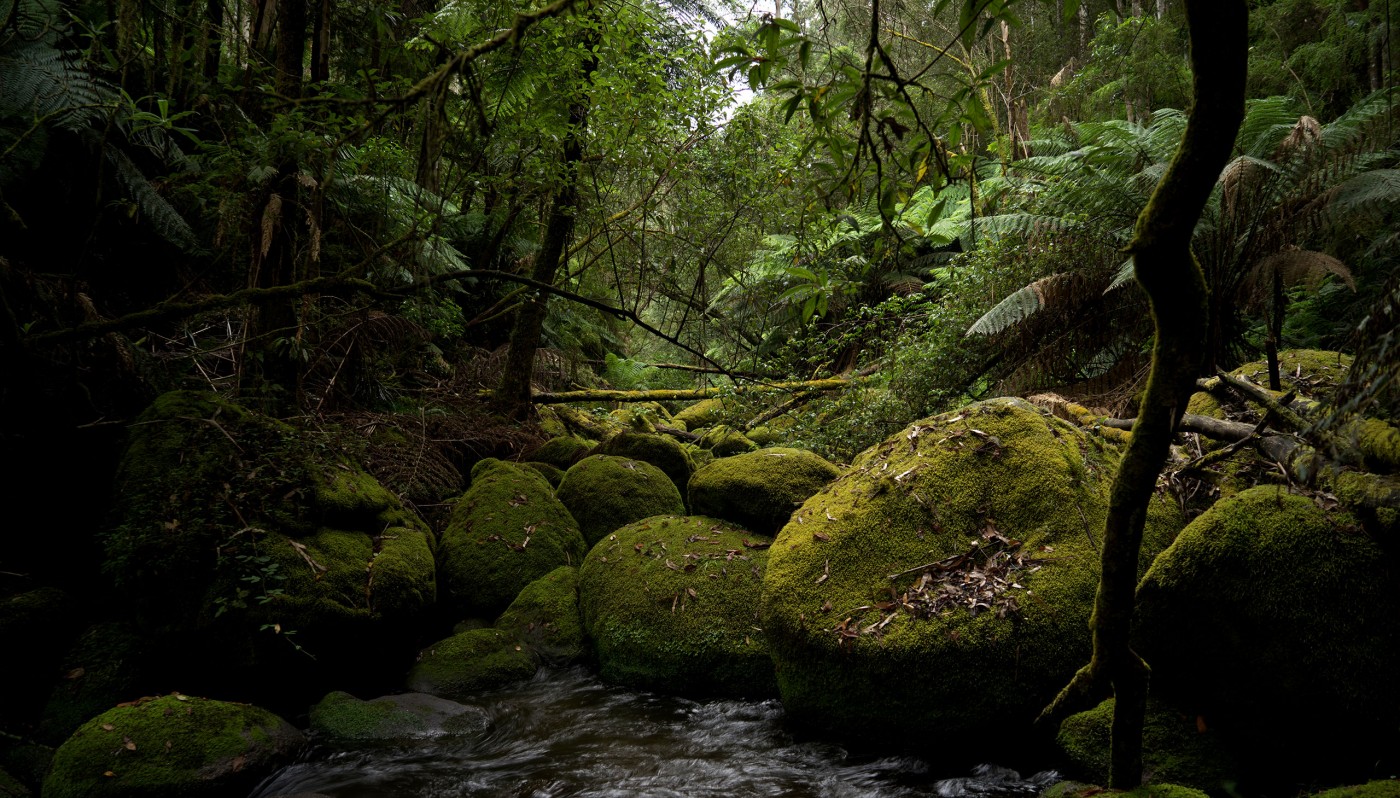 Below Amphitheatre Falls, Tooronga