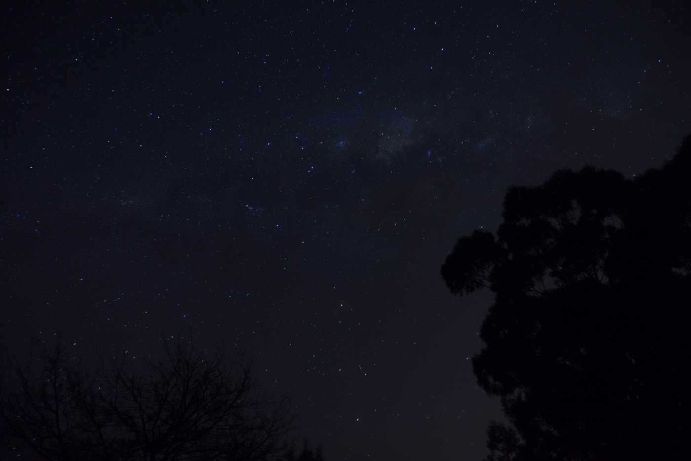 Night sky at Brigadoon