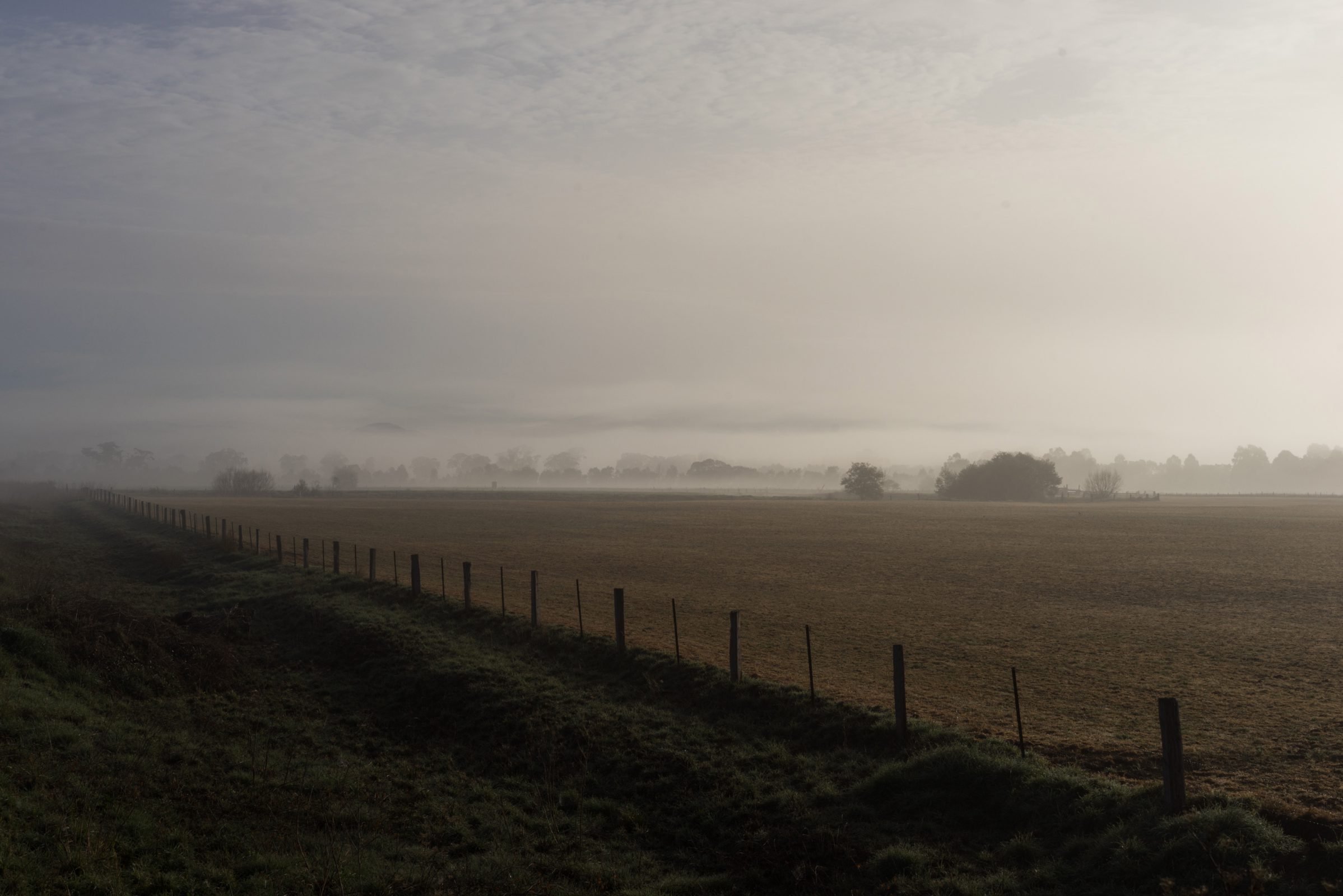 Fog over the Gippsland plains